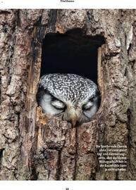 Fressnapf Magazin Seite 14