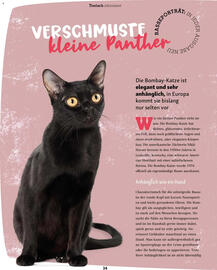 Fressnapf Magazin Seite 34