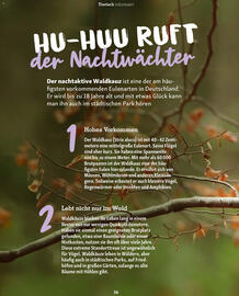Fressnapf Magazin Seite 36
