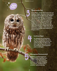 Fressnapf Magazin Seite 37