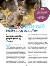 Fressnapf Magazin Seite 38