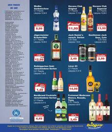 Bilgro Prospekt Seite 8