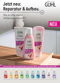 Rossmann Magazin Seite 43