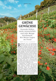 Rossmann Magazin Seite 80