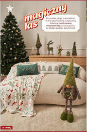 Dealz gazetka Strona 20