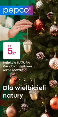 Pepco gazetka (wa偶no艣膰 do 10-11)