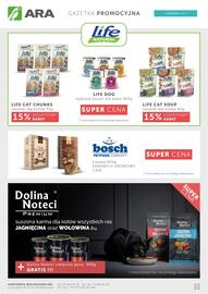 ARA gazetka Strona 1