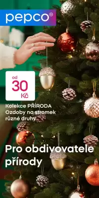 Pepco leták (platné do 10-11)