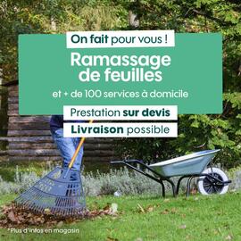 Catalogue Truffaut page 4