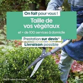 Catalogue Truffaut page 5