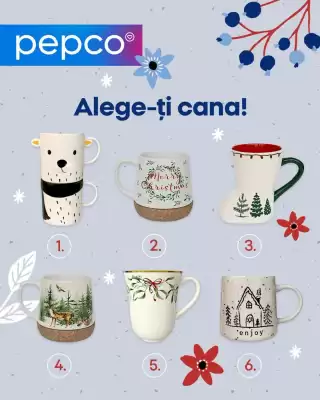 Catalog Pepco (valid până la 9-11)