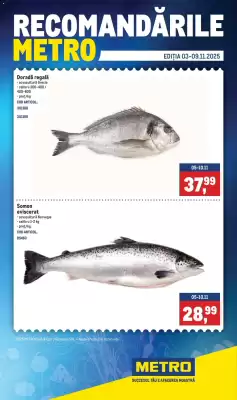 Catalog Metro (valid până la 9-11)