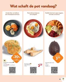 OKay folder Pagina 13