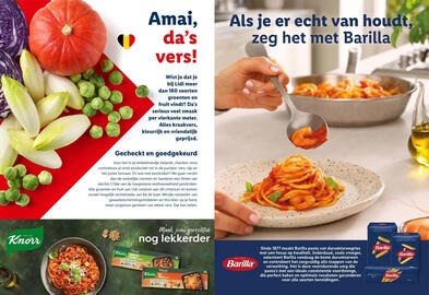 Lidl folder Pagina 8
