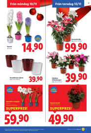 Lidl reklamblad vecka 46 Sida 19