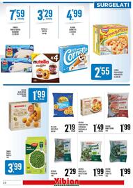 Volantino Vibian Pagina 12