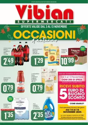 Volantino Vibian (valido fino al 13-11)