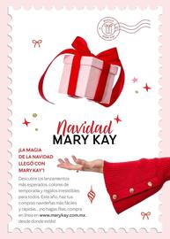 Catálogo Mary Kay Página 3