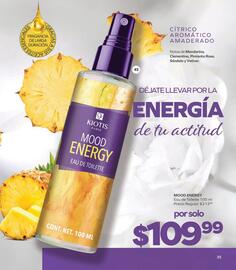 Catálogo Stanhome Página 39