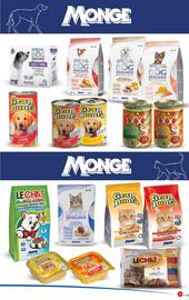 Volantino Maxipiù Pagina 19