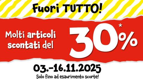 Volantino Tedi Pagina 1