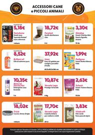 Volantino Giulius Pagina 10