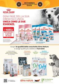 Volantino Giulius Pagina 2