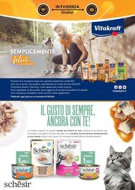 Volantino Giulius Pagina 4