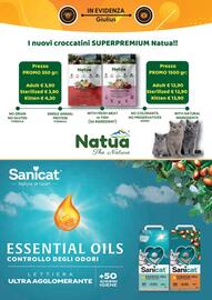 Volantino Giulius Pagina 5