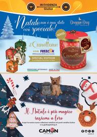 Volantino Giulius Pagina 6