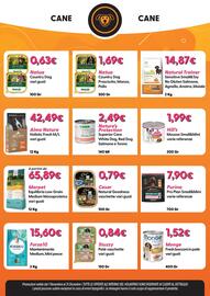 Volantino Giulius Pagina 8