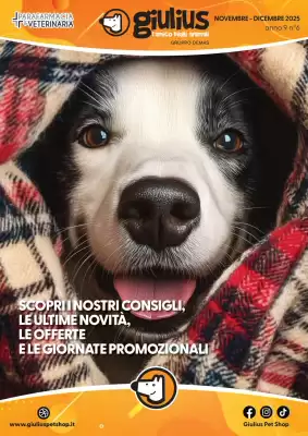 Volantino Giulius (valido fino al 31-12)
