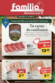 Folleto Autoservicios Familia semana 45 Página 1