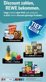 REWE PETZ Prospekt woche 45 Seite 30
