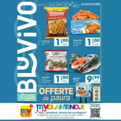 Volantino BluVivo (valido fino al 9-11)