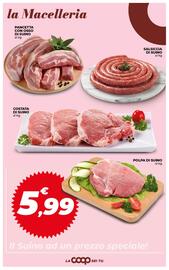 Volantino Ipercoop Radenza Pagina 30