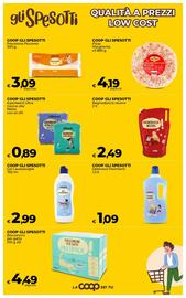 Volantino Ipercoop Radenza Pagina 41