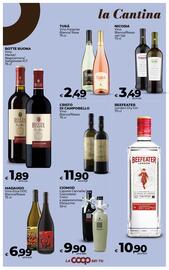 Volantino Ipercoop Radenza Pagina 46