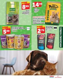 Topaz Express gazetka tydzień 45 Strona 21