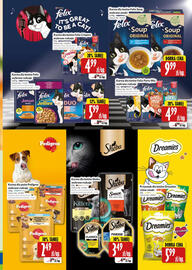 Hala Wola gazetka Strona 13