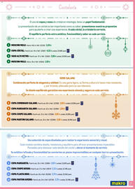 Catálogo Makro Página 21