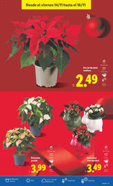 Catálogo Lidl semana 46 Página 47