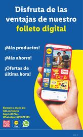 Catálogo Lidl semana 46 Página 31