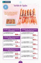 Folleto Abordo Página 14