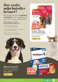 Discus folder week 45 Pagina 3