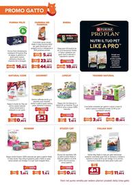 Volantino Joe Zampetti Pagina 10