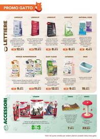 Volantino Joe Zampetti Pagina 12