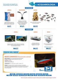 Volantino Joe Zampetti Pagina 15