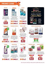 Volantino Joe Zampetti Pagina 2