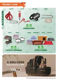 Volantino Joe Zampetti Pagina 4